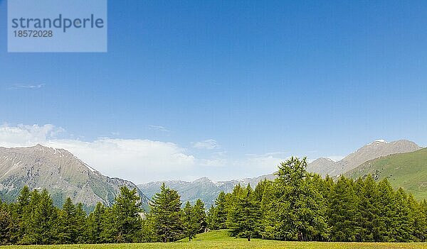 Wunderschöne Aussicht auf die italienischen Alpen mit einem Wald im Hintergrund an einem Sommertag. Region Piemont Norditalien