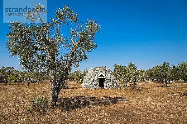 Dieses traditionelle Lagerhaus wird im lokalen Dialekt Furnieddhu genannt. Die gesamte Struktur besteht aus Stein und wurde zur Reparatur landwirtschaftlicher Geräte auf dem Land verwendet