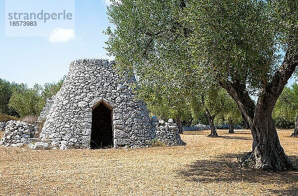 In der Region Salento  im Süden Italiens  befindet sich ein traditionelles ländliches Lagerhaus  das im lokalen Dialekt Furnieddhu genannt wird. Es ist ein traditionelles Gebäude aus Stein im Olivenanbaugebiet