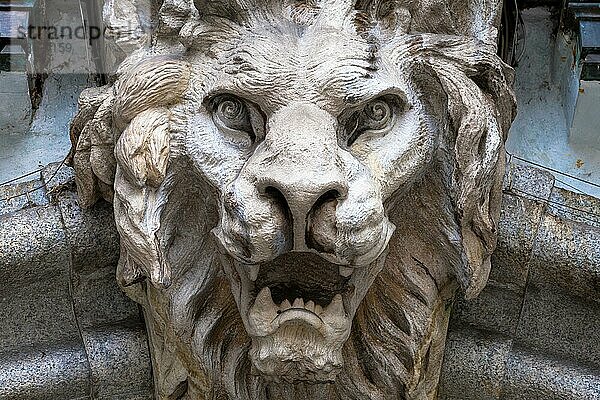 Italien  Turin. Aus Stein gefertigt und auf einem etwa 300 Jahre alten Marmorbogen angebracht. Gefallener Engel in Form eines brüllenden Löwen  Europa