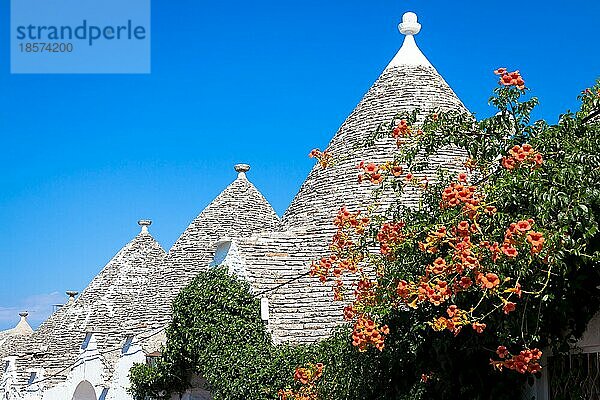 Alberobello  Region Apulien  Süditalien. Traditionelle Dächer der Trulli  originelle und alte Häuser dieser Region