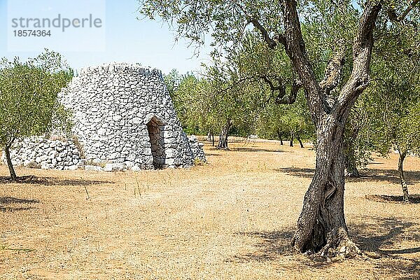 In der Region Salento  im Süden Italiens  befindet sich ein traditionelles ländliches Lagerhaus  das im lokalen Dialekt Furnieddhu genannt wird. Es ist ein traditionelles Gebäude aus Stein im Olivenanbaugebiet