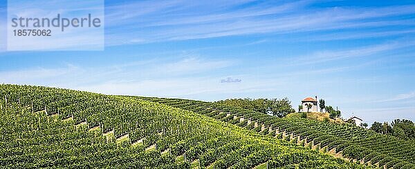 ASTI  ITALIEN CA. AUGUST 2020: Die piemontesischen Hügel in Italien  Gebiet Monferrato. Malerische Landschaft im Sommer mit Weinfeldern. Wunderbarer blaür Himmel im Hintergrund