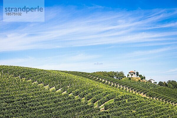 ASTI  ITALIEN CA. AUGUST 2020: Die piemontesischen Hügel in Italien  Gebiet Monferrato. Malerische Landschaft im Sommer mit Weinfeldern. Wunderbarer blaür Himmel im Hintergrund