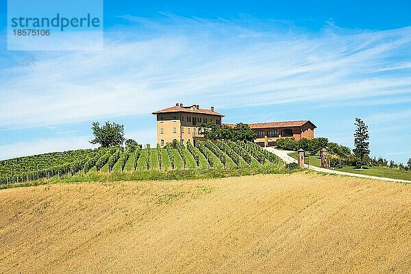 ASTI  ITALIEN CA. AUGUST 2020: Die piemontesischen Hügel in Italien  Gebiet Monferrato. Malerische Landschaft im Sommer mit Weinfeldern. Wunderbarer blaür Himmel im Hintergrund