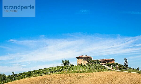 ASTI  ITALIEN CA. AUGUST 2020: Die piemontesischen Hügel in Italien  Gebiet Monferrato. Malerische Landschaft im Sommer mit Weinfeldern. Wunderbarer blaür Himmel im Hintergrund