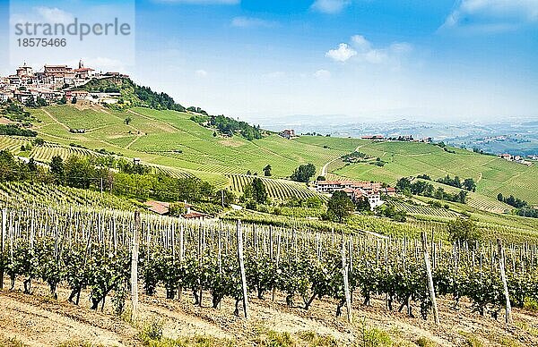 La Morra. Traditionelles Dorf in der Nähe von Barolo und Alba  in der Region Piemont  Italien  Europa