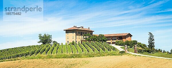 ASTI  ITALIEN CA. AUGUST 2020: Die piemontesischen Hügel in Italien  Gebiet Monferrato. Malerische Landschaft im Sommer mit Weinfeldern. Wunderbarer blaür Himmel im Hintergrund