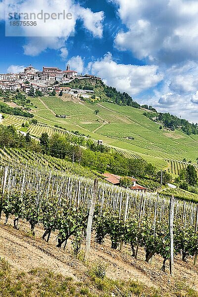 La Morra. Traditionelles Dorf in der Nähe von Barolo und Alba  in der Region Piemont  Italien  Europa