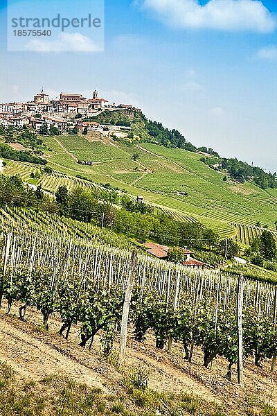 La Morra. Traditionelles Dorf in der Nähe von Barolo und Alba  in der Region Piemont  Italien  Europa