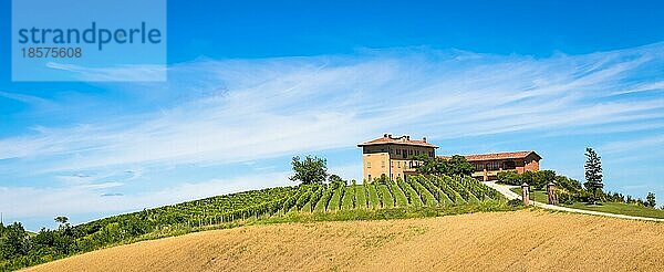 ASTI  ITALIEN CA. AUGUST 2020: Die piemontesischen Hügel in Italien  Gebiet Monferrato. Malerische Landschaft im Sommer mit Weinfeldern. Wunderbarer blaür Himmel im Hintergrund