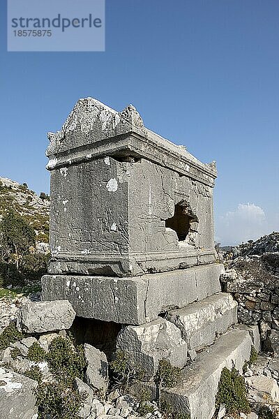 Felsengrab in der antiken Stätte von Sidyma  Mugla  Türkei  Asien