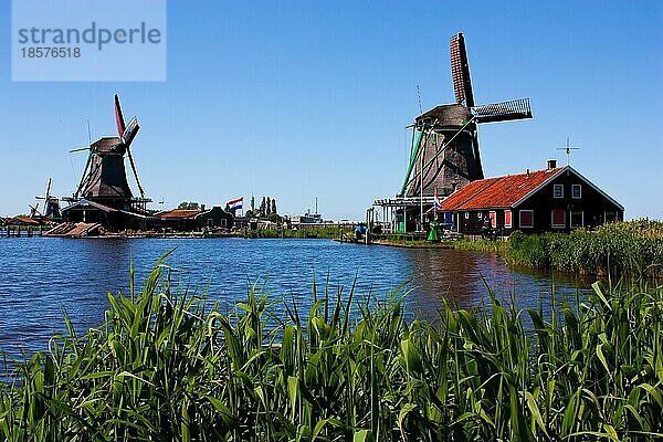 Mühlen in Holland  traditionelles und direktes Wahrzeichen des Landes