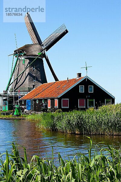 Mühlen in Holland  traditionelles und direktes Wahrzeichen des Landes