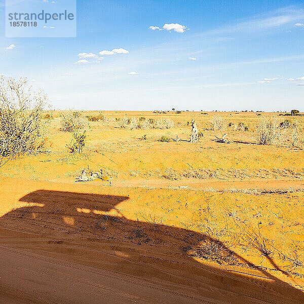 Kenia  Tsavo Ost Nationalpark. Safarifahrzeuge Silhouetten auf orange und blau Panorama  Afrika