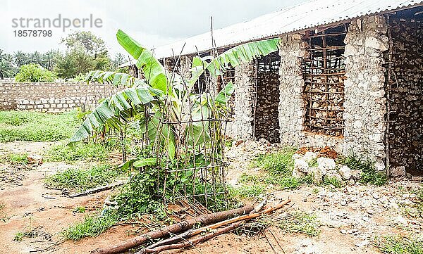 Kenia  Malindi Stadt. Detail der traditionellen Technik für den Bau von Armenhäusern  Afrika