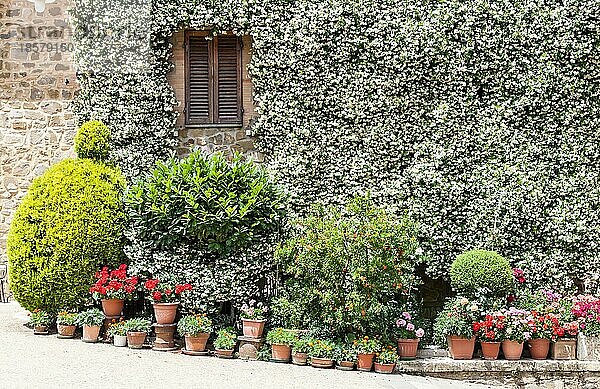 Hausfassade in einem traditionellen toskanischen Dorf  Pienza  Italien  Europa