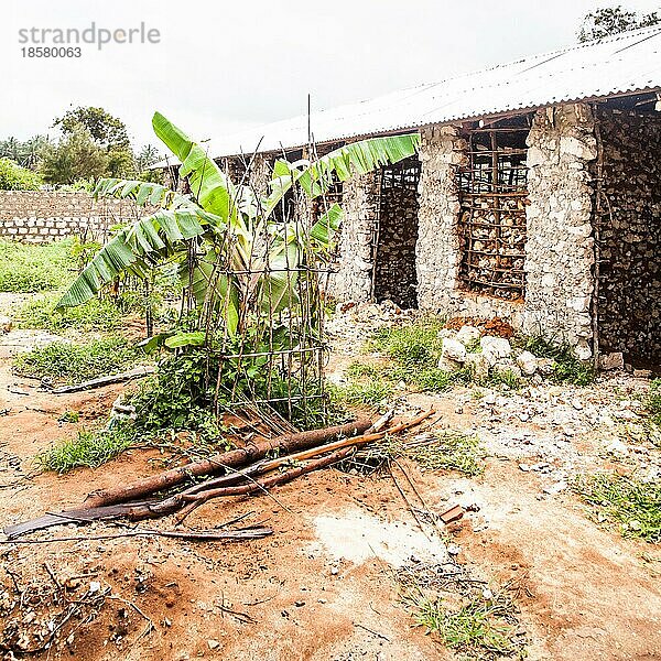 Kenia  Malindi Stadt. Detail der traditionellen Technik für den Bau von Armenhäusern  Afrika