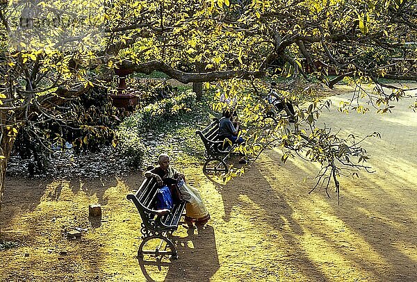 Eine Frau sitzt entspannt im goldenen Abendlicht  Lal Bagh Garten  Bengaluru Bangalore  Karnataka  Südindien  Indien  Asien