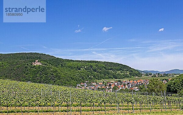 Ausblick auf Klingenmünster  links im Pfälzerwald die Burg Landeck  Klingenmünster  Deutsche-oder auch Südliche Weinstraße  Südpfalz  Pfalz  Rheinland-Pfalz  Deutschland  Europa