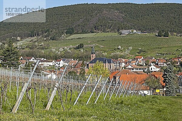 Weindorf Saint Martin