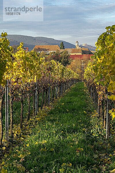 Kloster Heilbruck  früher ein Zisterzierinnenkloster  heute ein Weingut