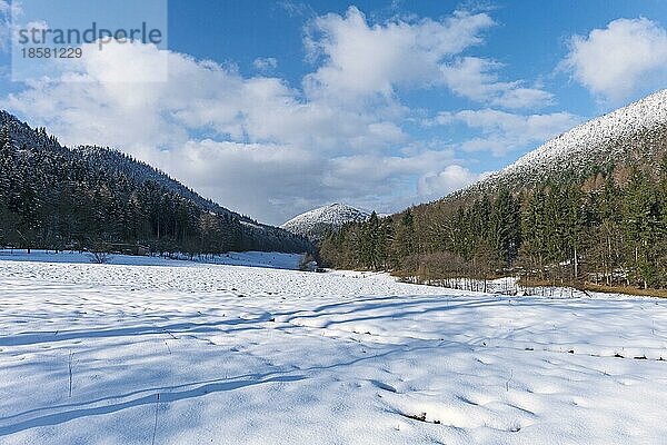 Winter im Modenbachtal