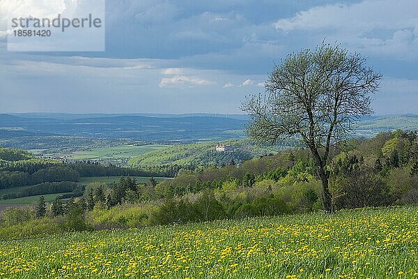 Ausblick von der Maulkuppe  Berg im Naturpark Hessische Rhön  im Hintergrund Schloss Bieberstein  Hessen  Deutschland  Europa