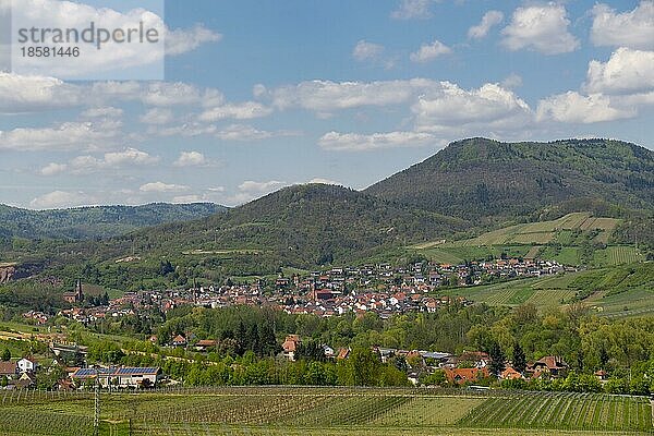 Blick auf das Weindorf Albersweiler