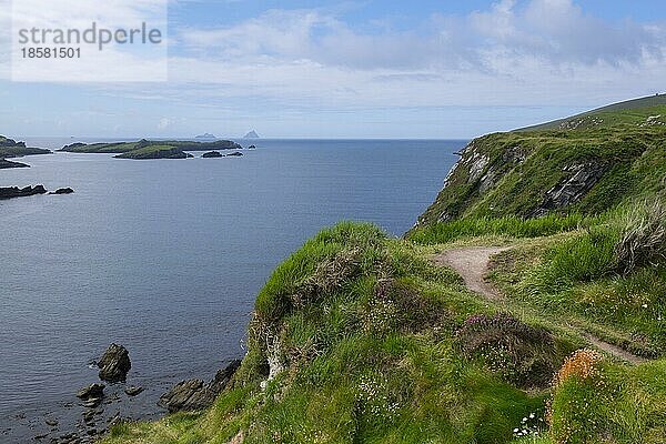 Steilküste am Skellig Ring  am Horizont die Skellig Inseln  Ring of Kerry  County Kerry  Irland  Europa