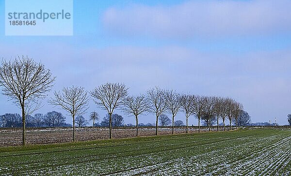 Winterliche Landschaft im Münsterland