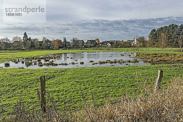 Die Dinkelwiesen in Epe