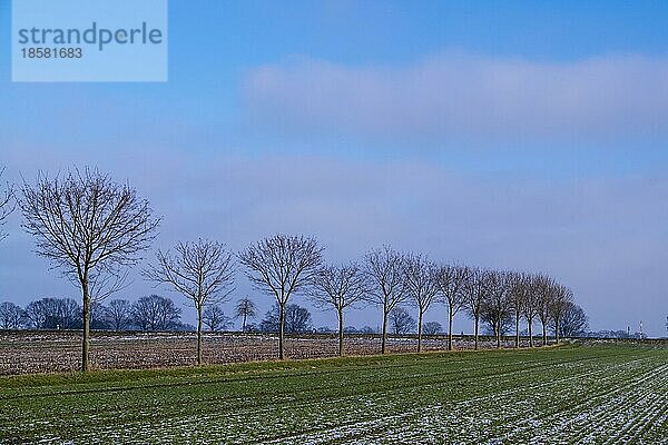 Winterliche Landschaft im Münsterland