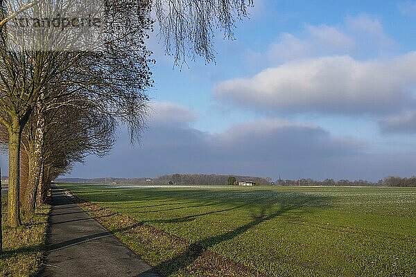 Fahrradweg im Münsterland