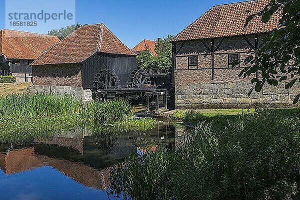 Oostendorper Wassermühlen  Öl-und Kornmühle  Buurserbeek  Haaksbergen  Region Twente  Provinz Oberijssel  Niederlande  Europa