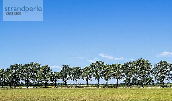 Landschaft im Dinkelland  Niederlande  Europa