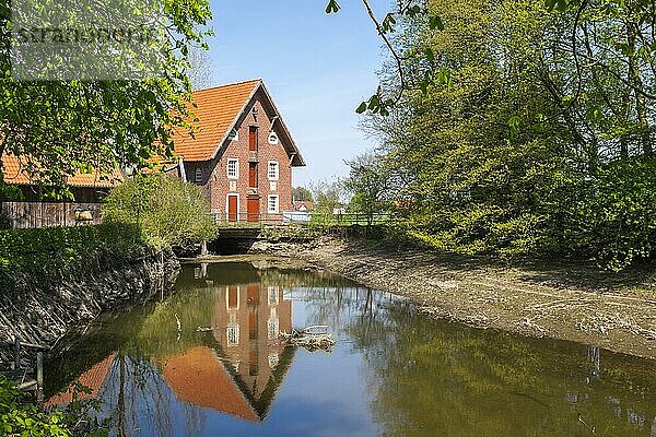 Düstermühle am Fluss Dinkel  Wassermühle  Legden  Ortsteil Wehr  Münsterland  Nordrhein-Westfalen  Deutschland  Europa