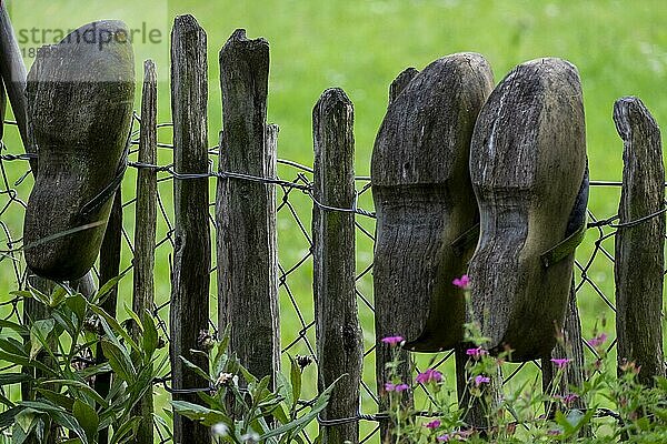 Alte Holzschuhe auf einem Gartenzaun