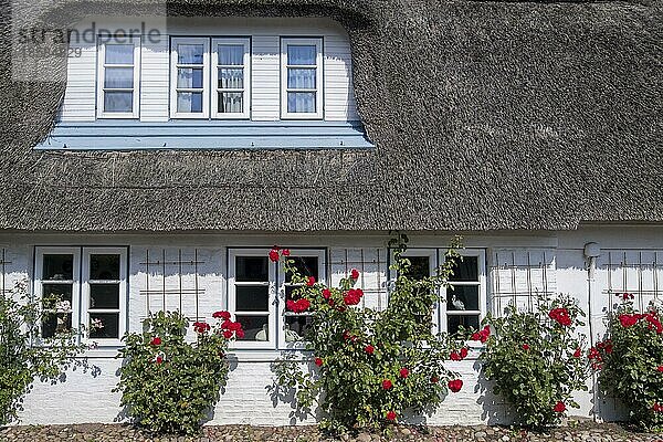 Friesenhaus  Nordseeinsel Föhr