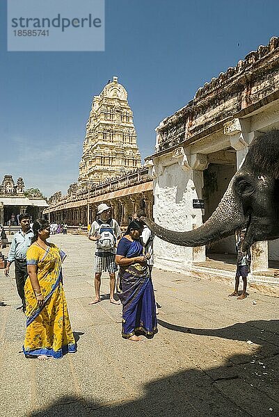 Gläubige erhalten den Segen des Tempelelefanten im Virupaksha-Tempel in Hampi  Karnataka  Südindien  Indien. UNESCO-Welterbe