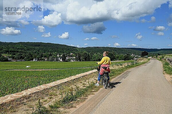 Radfahrerin in den Weinbergen an der Route des Grands-Crus  Route edler Weine  bei Savigny-lès-Beaune  Département Côte-d?Or  Burgund  Frankreich  Europa
