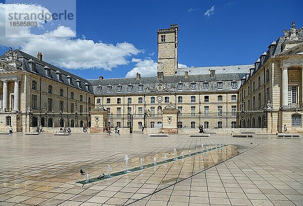 Place de la Libération  im Hintergrund der Herzogspalast  Dijon  Departement Côte d'Or  Region Bourgogne-Franche-Comté  Burgund  Frankreich  Europa