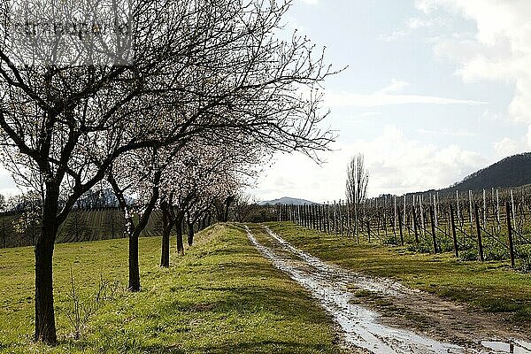 Aprilwetter