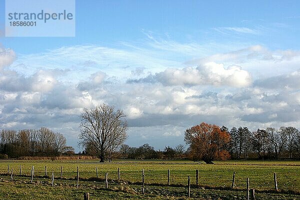 WinterLandschaft