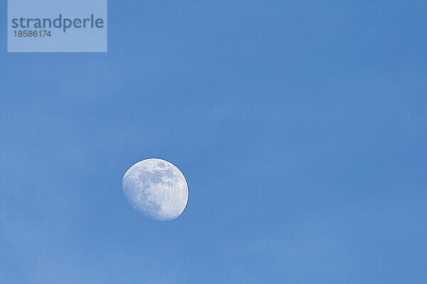 Mond am Tag fotografiert vor blauem Himmel