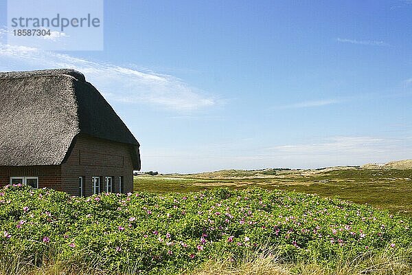 Haus in den Dünen