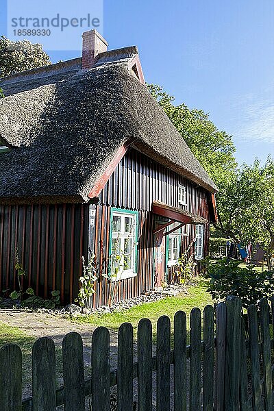 Reetgedecktes Holzhaus in Born