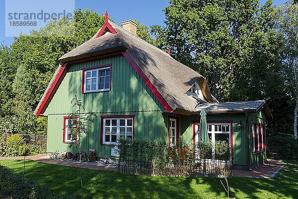 Reetgedecktes Holzhaus in Born