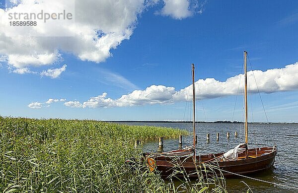 Segelboote auf dem Bodden in Fuhlendorf