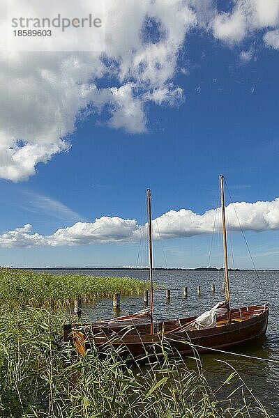 Segelboote auf dem Bodden in Fuhlendorf